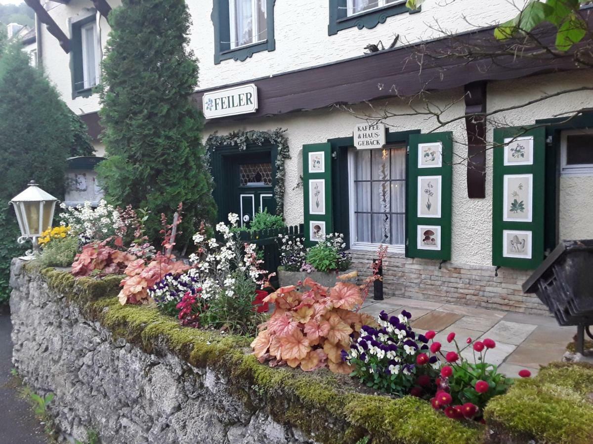 Hotel Feiler Muggendorf  エクステリア 写真