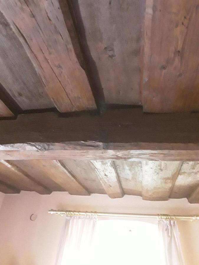 Hotel Feiler Muggendorf  エクステリア 写真